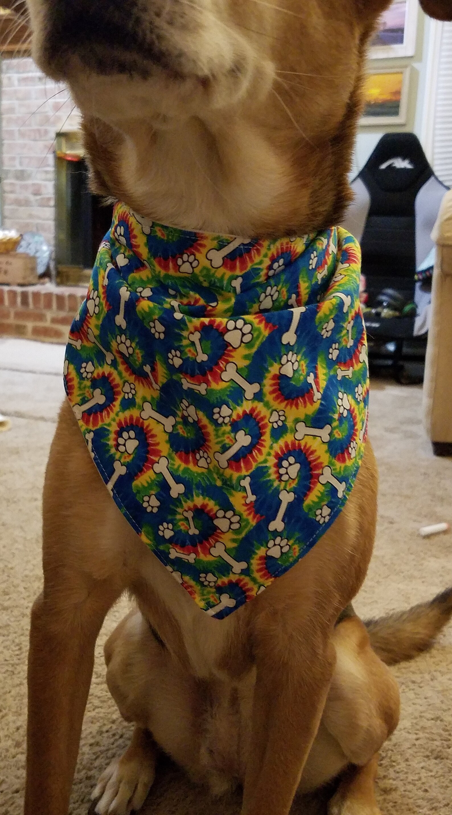 Tie-Dye Dog Bone Pet Bandanas, Traditional Tie-on Bandana